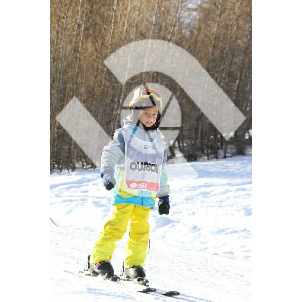  PR#227537PR#227537