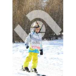  PR#227538PR#227538