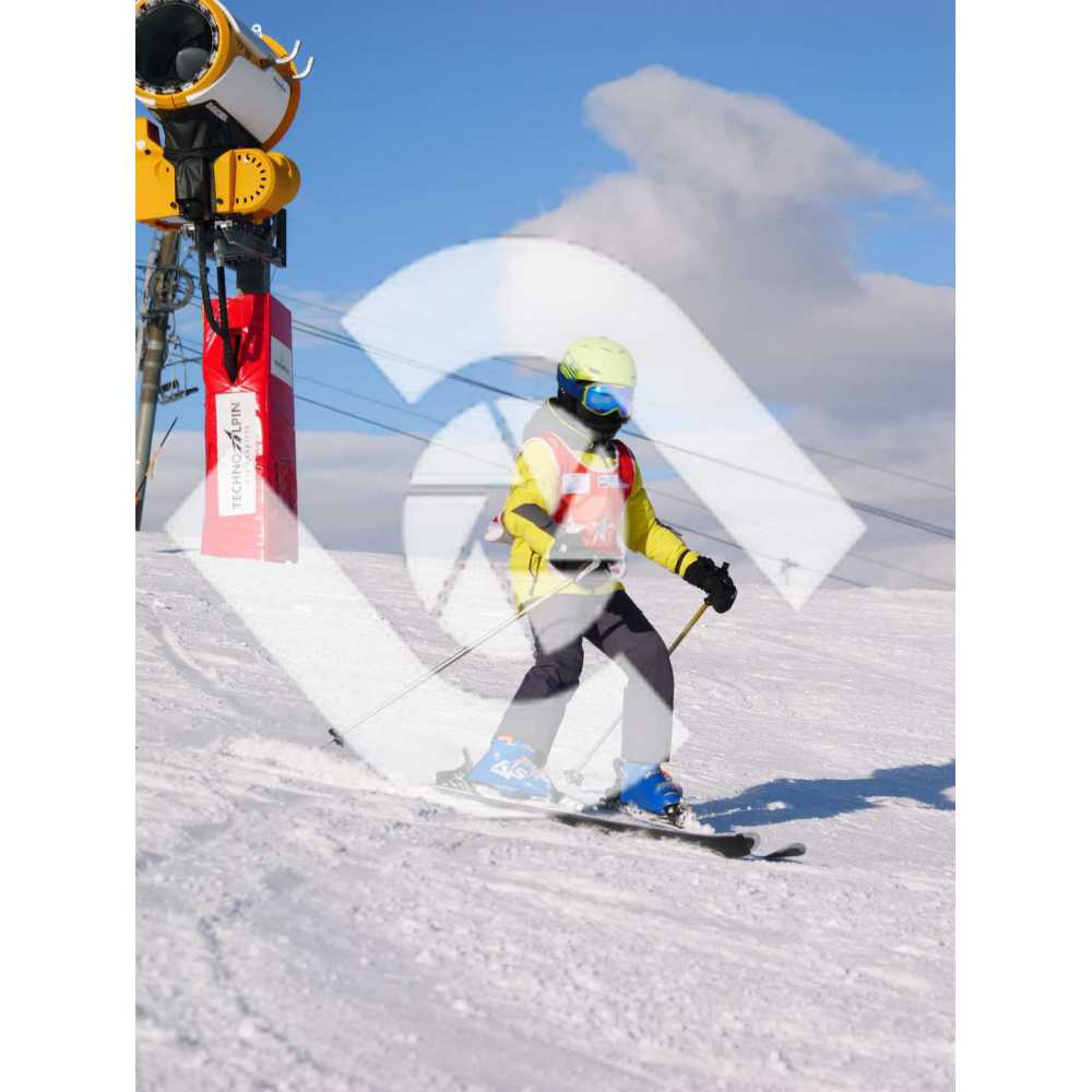  PR#227992PR#227992