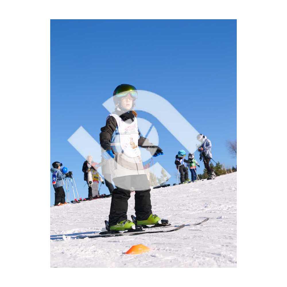  PR#259203PR#259203