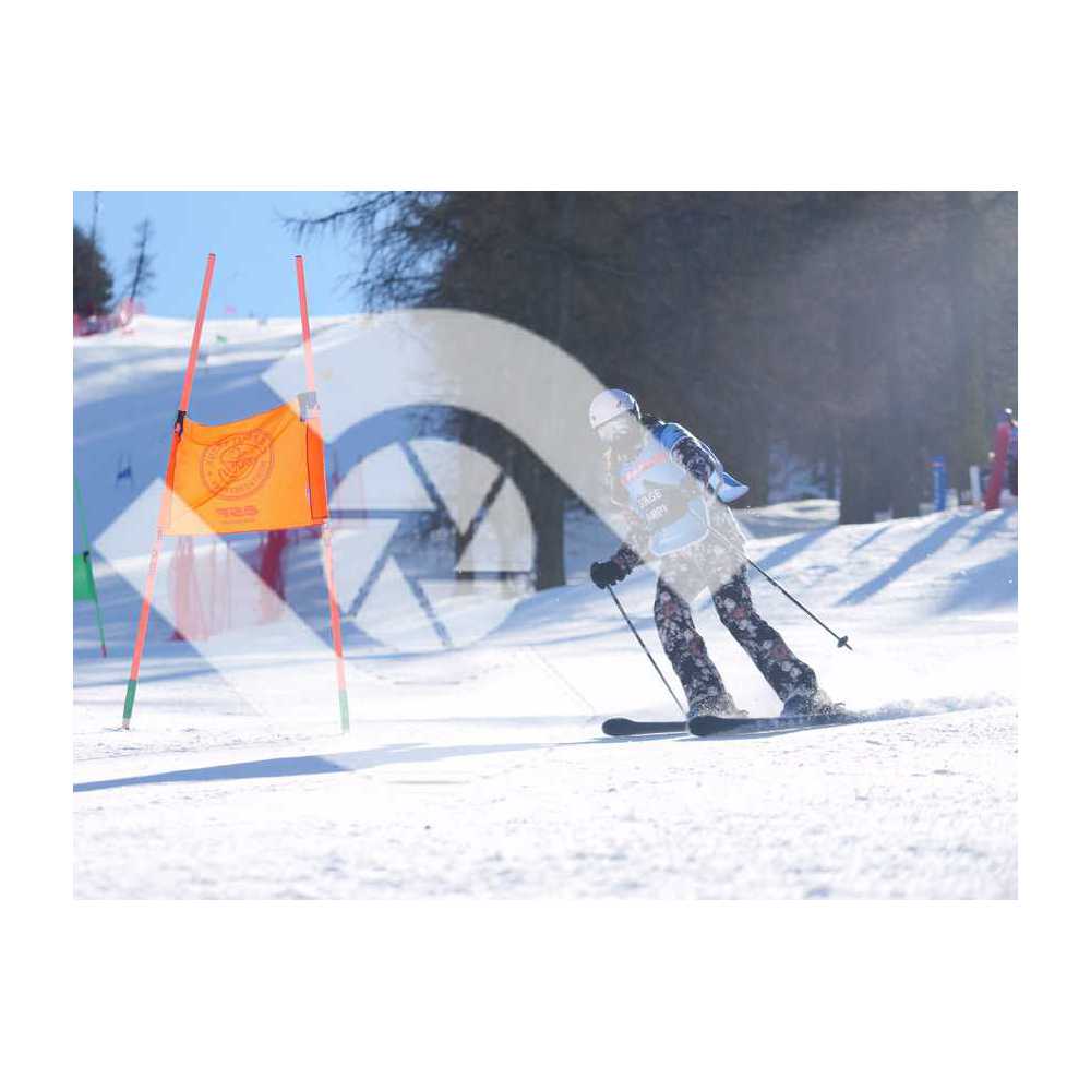  PR#322041PR#322041