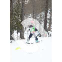  PR#319154PR#319154