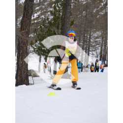  PR#335008PR#335008