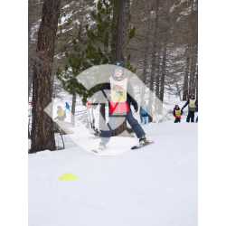  PR#335020PR#335020