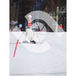  PR#334002PR#334002