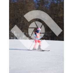  PR#334014PR#334014