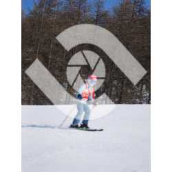  PR#334024PR#334024