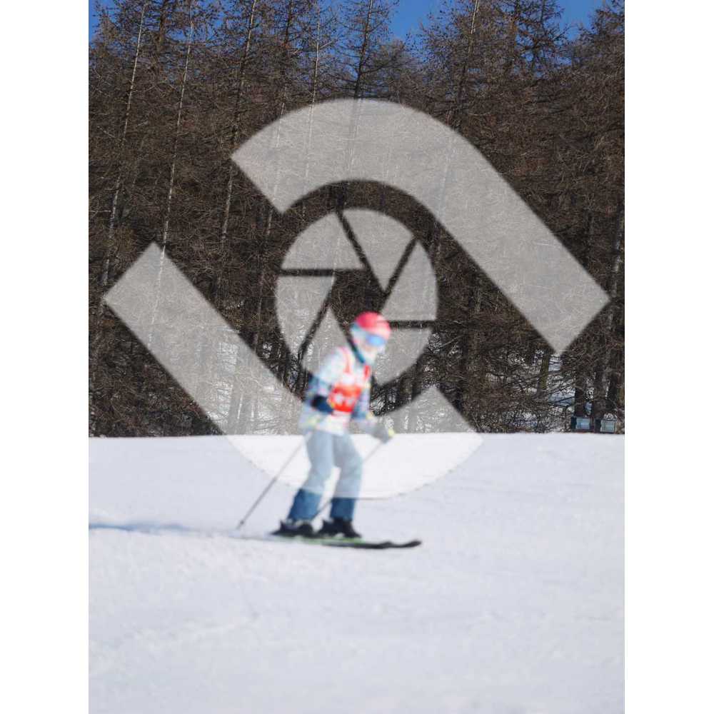  PR#334025PR#334025