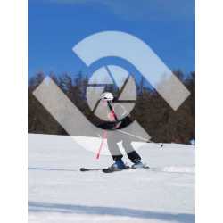  PR#334067PR#334067