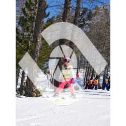  PR#337702PR#337702