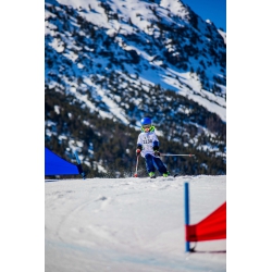  PR#360008PR#360008