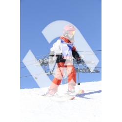  PR#370528PR#370528