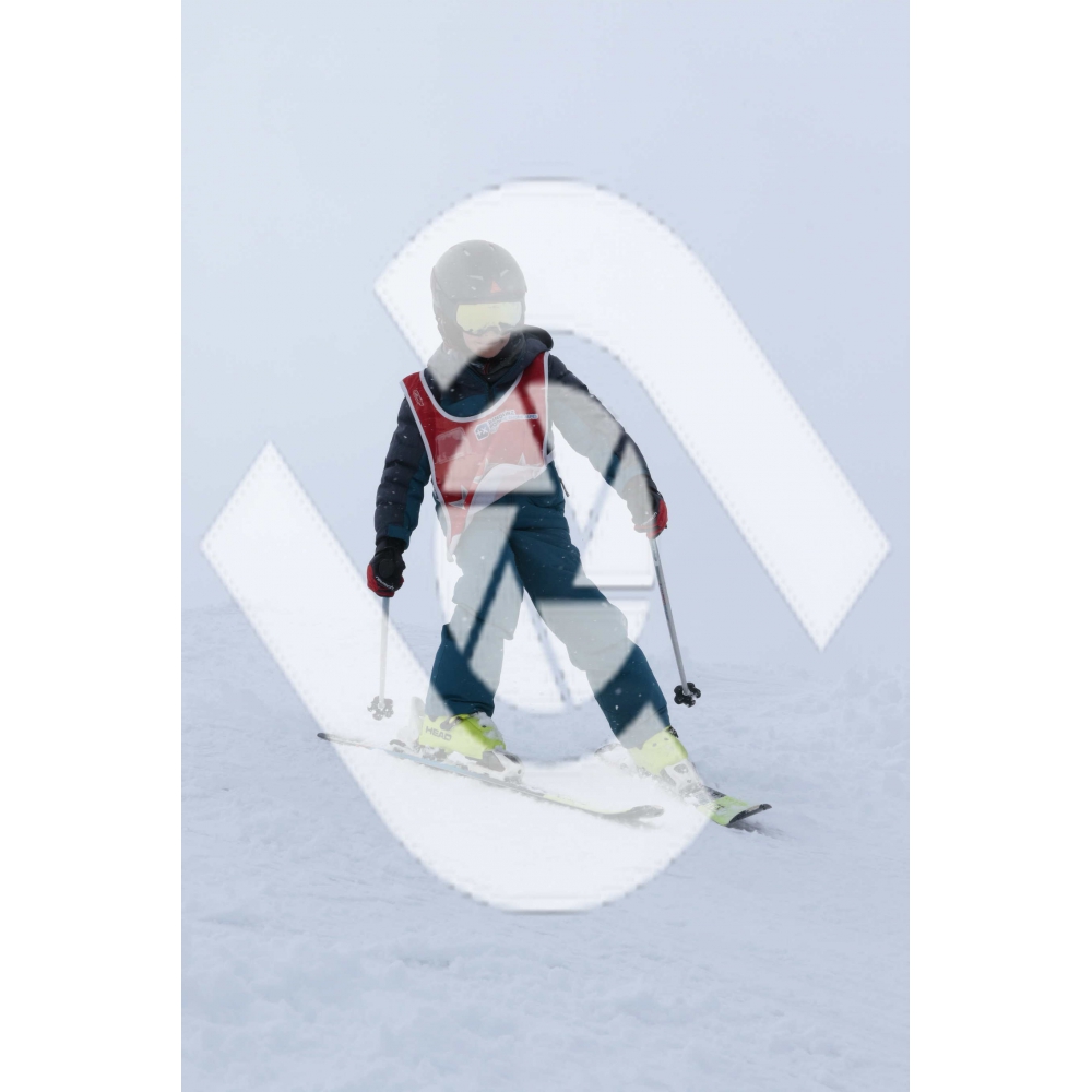  PR#370690PR#370690