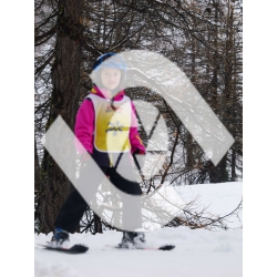  PR#371774PR#371774